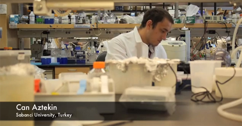 Stem Cell Analysis at Harvard