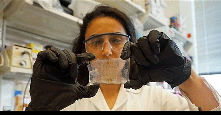 New invention by SU graduate Canan Dağdeviren!