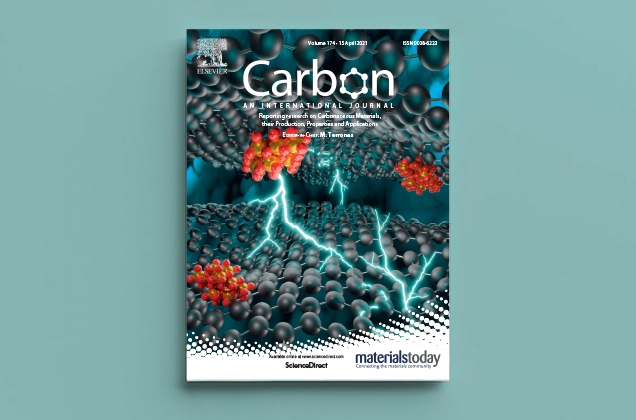 SUNUM and FENS’s article will be featured on the April 2021 cover of the Carbon journal