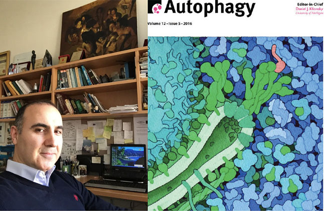 Devrim Gozuacik was invited to serve as an Associate Editor of the Autophagy Journal
