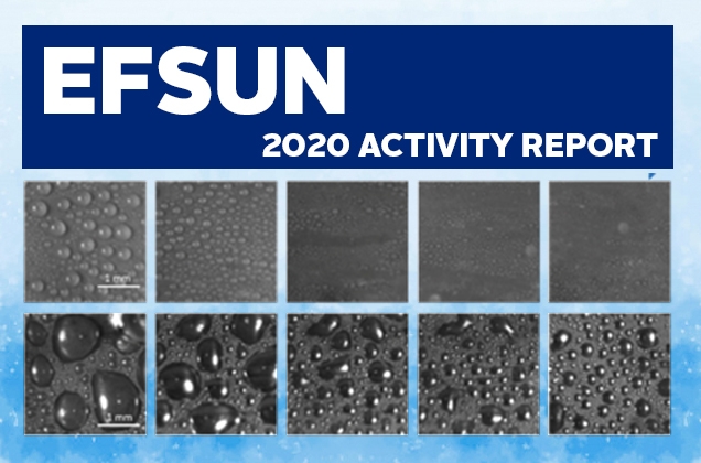 EFSUN 2020 Activity Report