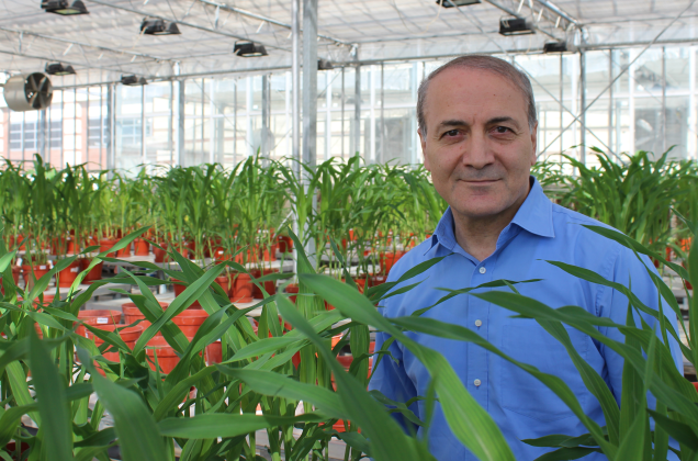 Our Faculty Member İsmail Çakmak Ranks First in Turkey in The List of The Most Influential Scientists of The World
