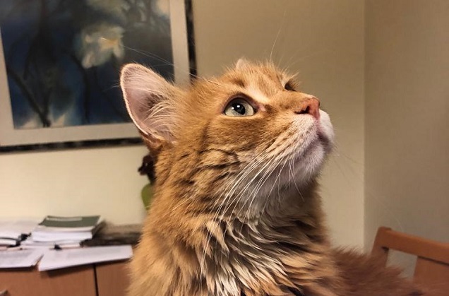 We Lost Our Friend Kıvanç, One of the Oldest Residents on Our Campus