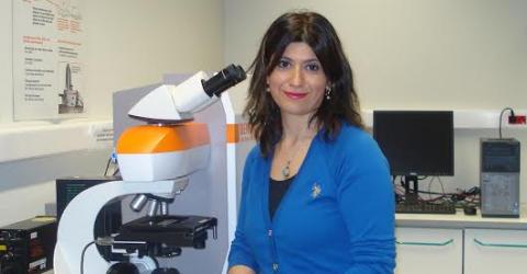 Achievements of Meltem Sezen