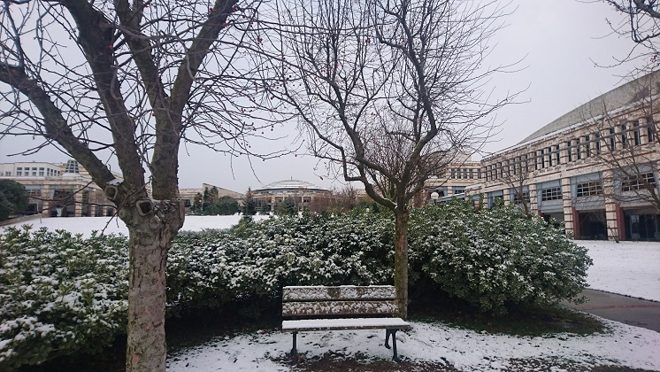 Announcement: Transportation Difficulties After Heavy Snow