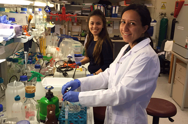 New discovery in autophagy