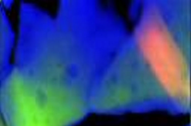 Elucidating the Mysteries of Long Afterglow in Ceramic Phosphors