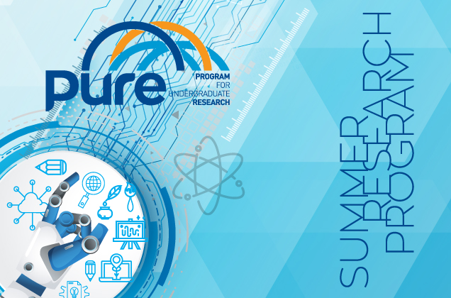 PURE Summer Term applications