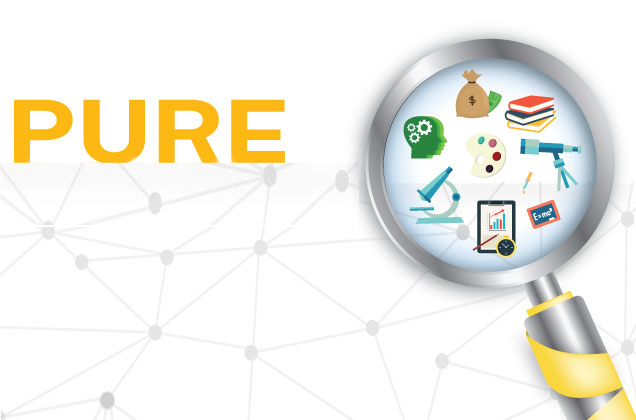 Program for Undergraduate Research (PURE) applications