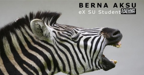 FASS Art Gallery exhibition: Pain by Berna Aksu