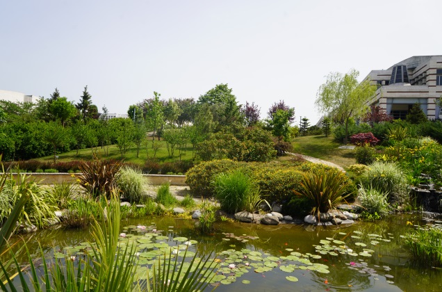 Sabancı University is the ‘greenest’ university