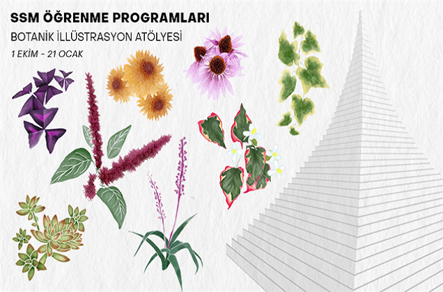 Yetişkinlere yönelik Botanik İlüstrasyon Atölyesi