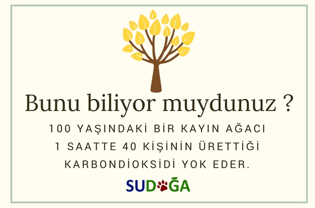 Bunu biliyor muydunuz?