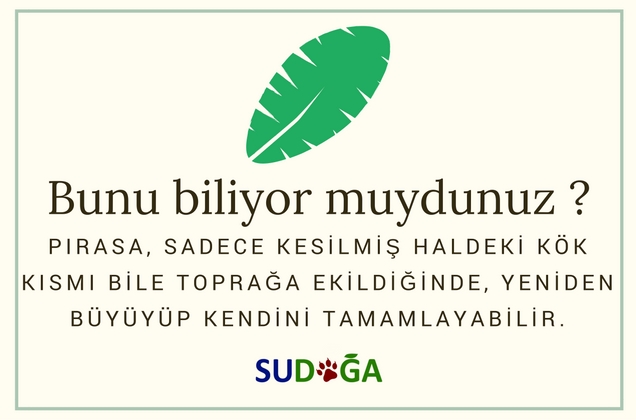 Bunu biliyor muydunuz?