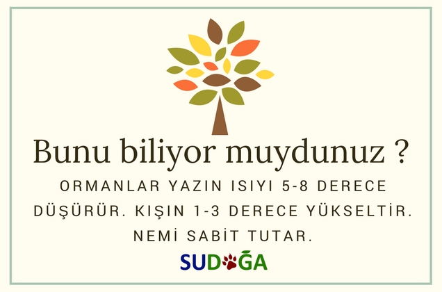 Bunu biliyor muydunuz?