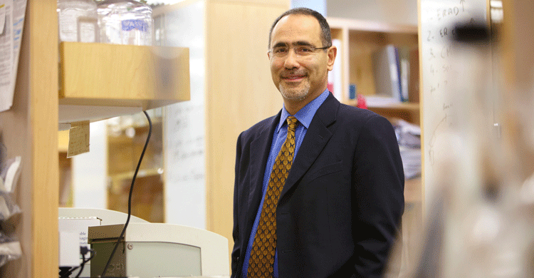 Mezunların son dersi Prof. Gökhan Hotamışlıgil’den