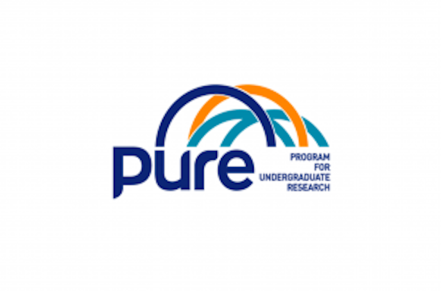 PURE 2023-2024 Yaz Dönemi Başvuruları Başladı