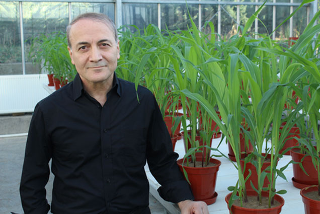 İsmail Çakmak 2016 IPNI Bilim Ödülü'nü kazandı
