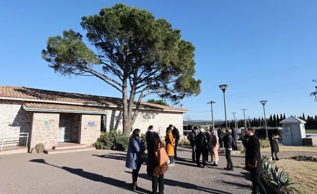 SENTRUM projesi Küçükköy'de yeşil çözümler ve enerji verimli yatırımları teşvik ediyor