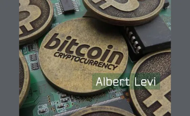 "Bitcoin: What is it? Why it exists? How it survives?"