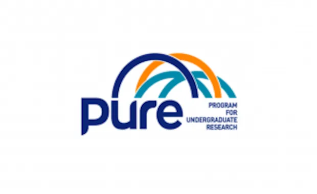 PURE 2023-2024 Yaz Dönemi Başvuruları Başladı