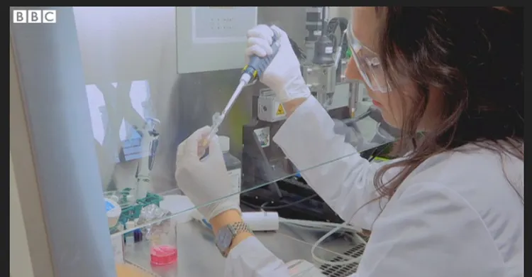 Our scientific research was featured on BBC World!