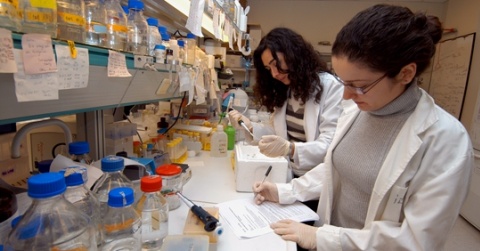 Sabancı University is the sole foundation university in Istanbul that is listed among the top 500 universities worldwide