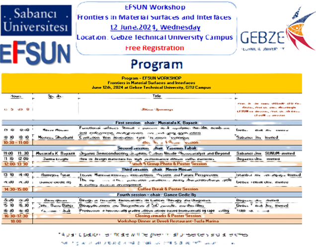 EFSUN Frontiers in Material Surfaces and Interfaces