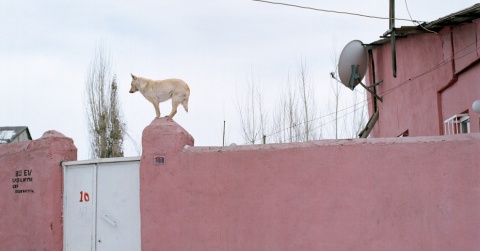 Serkan Taycan (VACD-MA) nominated as semi-finalist in Full Art Prize