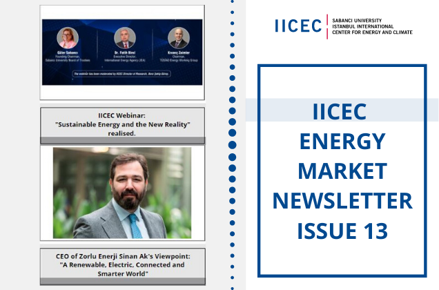 IICEC Energy Market Newsletter - Issue 13
