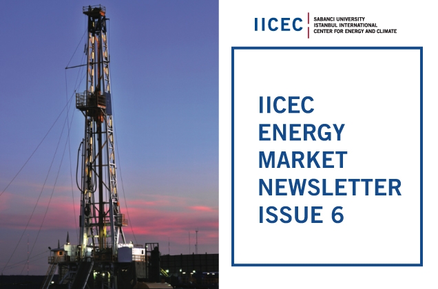 IICEC Energy Market Newsletter 6