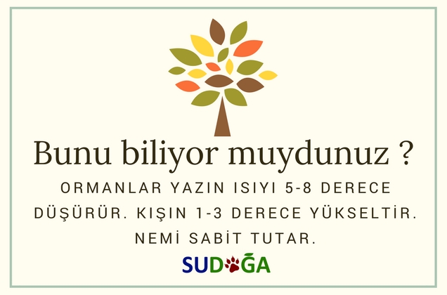 Bunu Biliyor Muydunuz Gazetesu