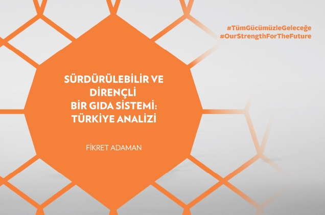 Sürdürülebilir ve Dirençli Bir Gıda Sistemi: Türkiye Analizi