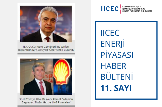 IICEC Energy Market Newsletter - 11