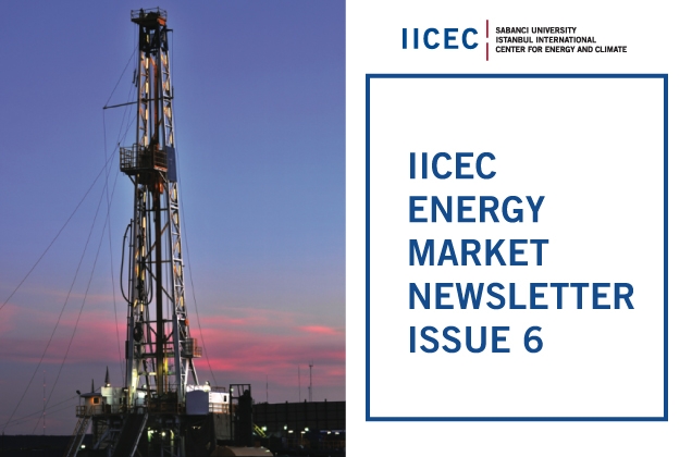 IICEC Energy Market Newsletter - 6