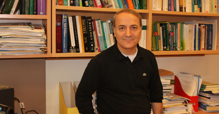 İsmail Çakmak'a Georg Forster Araştırma Ödülü