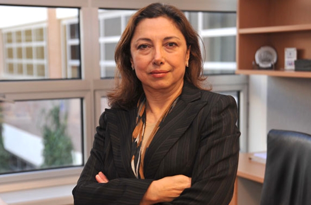 Melsa Ararat Beijing 25+ Toplantısında Konuştu