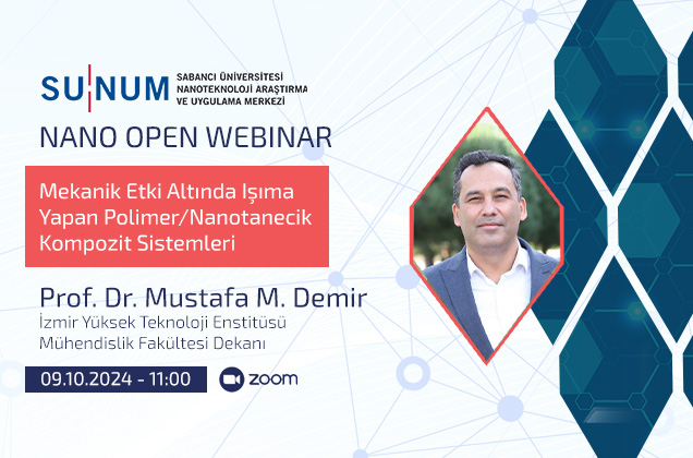 Mekanik Etki Altında Işıma Yapan Polimer/Nanotanecik Kompozit Sistemleri
