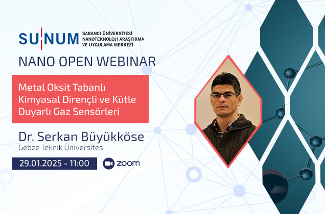 Metal Oksit Tabanlı Kimyasal Dirençli ve Kütle Duyarlı Gaz Sensörleri