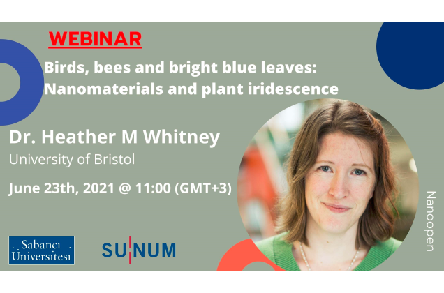 Nano Open Seminer Serisi'nin yeni konuğu Heather M. Whitney