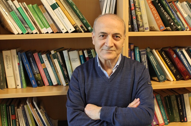 İsmail Çakmak