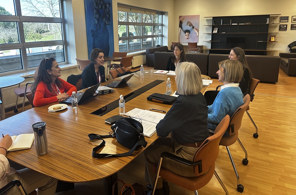 Journal of Management Studies (JMS) Makale Geliştirme Çalıştayı Gerçekleşti