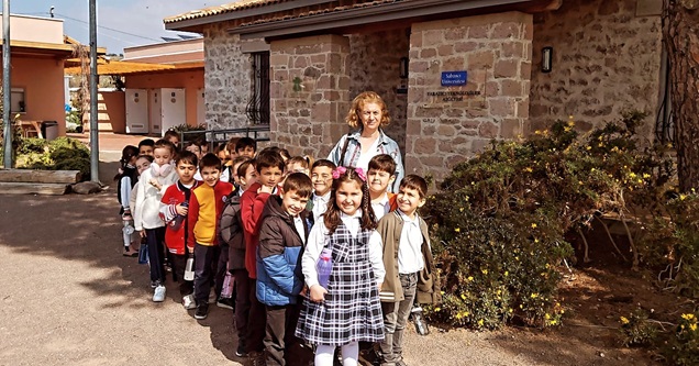 Sakarya 2