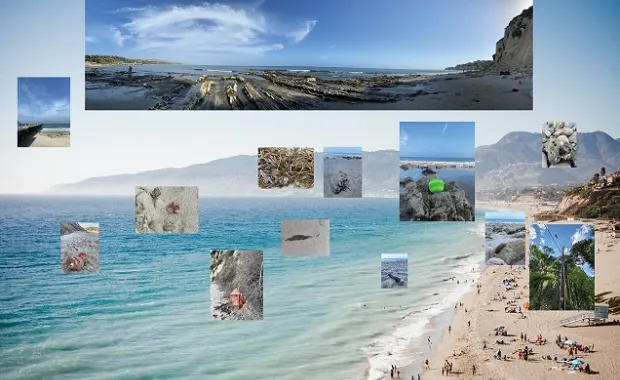 Collaborative Art Exhibition from Sabancı University and LASALLE: Project 3V