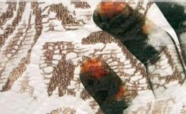 ‘Negotiating in Tradition’s Triangle