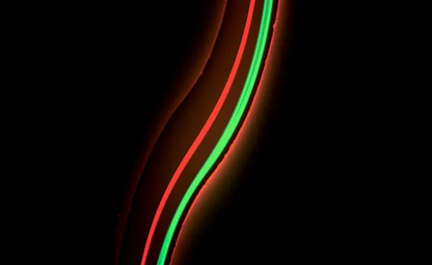 EFSUN publishes first year activity report