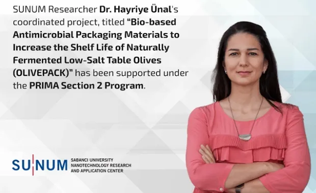 The International Project Success of SUNUM Researcher
