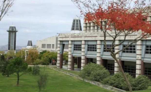 2024-2025 Fall Applications to Ph.D. in Management Program