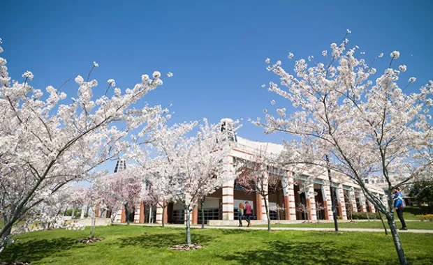 SU Gender Receives 5th Horizon 2020 Project within 2 years