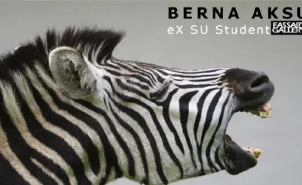 FASS Art Gallery exhibition: Pain by Berna Aksu